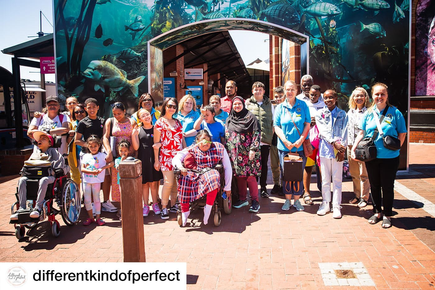 2024 Dec Year end outing to the Aquirium