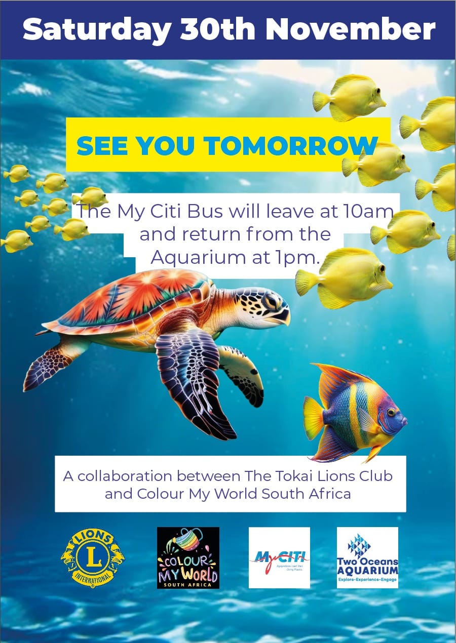 2024 Dec Year end outing to the Aquirium - Photo 3